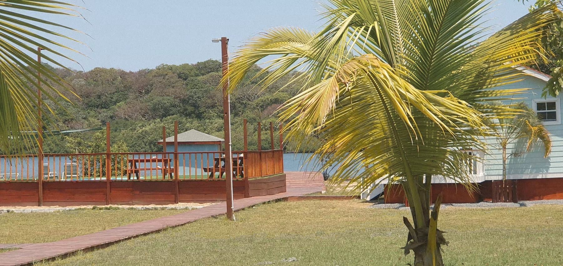 Palm tree and the pool deck looking out over the bight