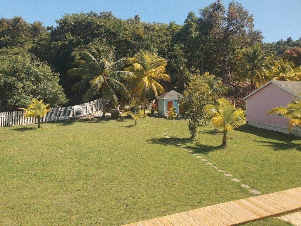 Garden lawn with palms and a stepping-stone path